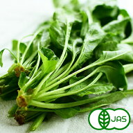 [有機栽培]山ほうれん草(150g)　　有機 オーガニック ふだん草 国産 奈良県産 夏野菜