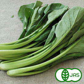 [有機栽培]小松菜(200g)　　オーガニック 有機 コマツナ こまつな 国産 生 葉