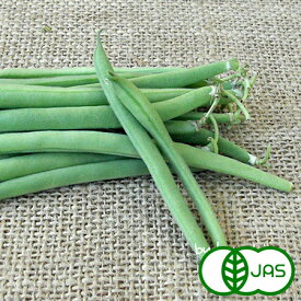 [有機栽培]インゲン(80g)　有機 オーガニック いんげん 生 国産 サラダ 三度豆
