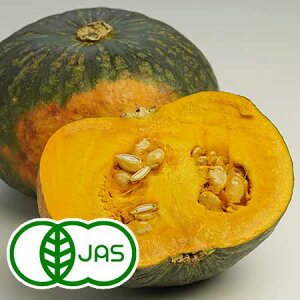 [L@͔|]݂悢́w ڂx(1/2)@@I[KjbN Z L@ J{` kCY x