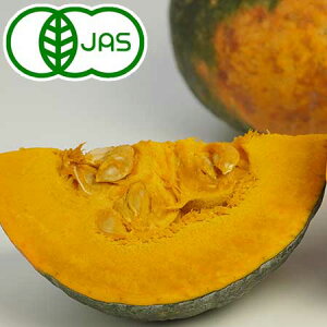 [L@͔|]݂悢́w ڂx(1/4)@@I[KjbN Z L@ J{` kCY x