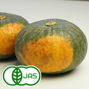 [L@͔|]݂悢́w ڂx(10kg@5`7)@@I[KjbN Z L@ J{` kCY x