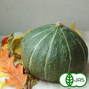 [L@͔|] ڂ (10kg @5ʑO)@@L@ I[KjbN Z J{` Y