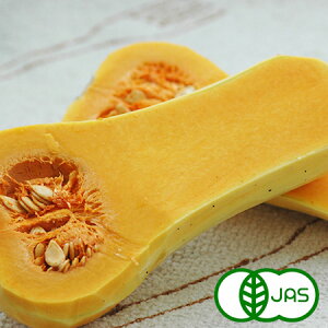 [L@͔|] o^[ibc(600g)@@I[KjbN L@ Y ɌY { ڂ Z ΂[Ȃ