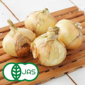 [L@͔|] WH̐Vʂ˂ (400g)@L@ I[KjbN ܂˂ ʔK ^}lM V Gi Ai Y T_