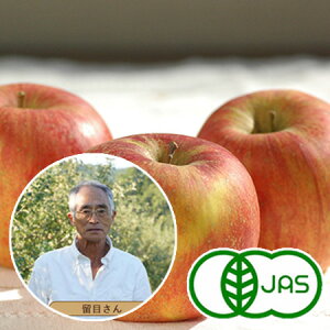 [L@͔|] ay{_̂ @TtW@(9kgO)@@I[KjbN L@ S ь Abv Y XY X[W[/W[X ɂ߁V[YOi