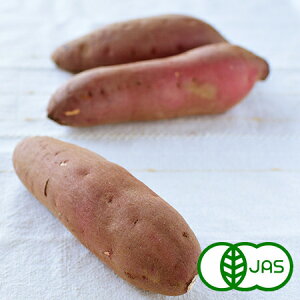 [L@͔|] g͂邩 (400g)@@L@ I[KjbN ܂ Ï ׂɂ͂邩 xjnJ F Tc}C Y