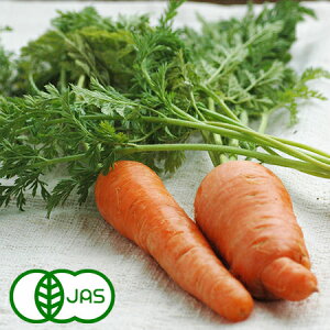 [L@͔|] tςɂ񂶂 (400g) @@I[KjbN L@ Y ɌY lQ jW tt Lbg