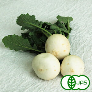 [L@͔|]  (2`4) @L@ I[KjbN  RJu  T_  Y