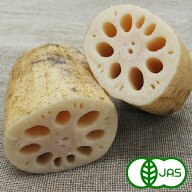 [有機栽培] 山田さんの新れんこん (200g)　　オーガニック 有機 レンコン 蓮根 生 国産 土つき 泥付き 愛…