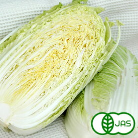 [有機栽培] 白菜 (1/2玉)　　オーガニック 有機 はくさい ハクサイ 国産 お鍋におすすめ