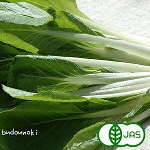 [L@͔|] Ӑ (200g)@@I[KjbN L@  t ΂񂹂 oZCi Y ɌY {