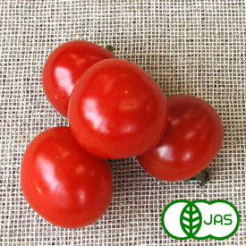 [有機栽培] ミニトマト (100g)　　オーガニック 有機 国産 とまと プチトマト サラダ ジュース 秀品 A品