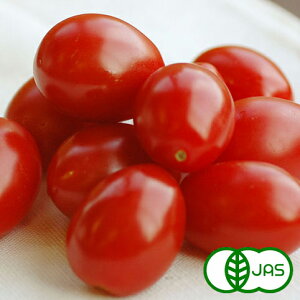 [L@͔|] C^A~jg}g(150g)@@I[KjbN L@ Ƃ܂ v`g}g Y 쌧Y tomato ՂƂ܂
