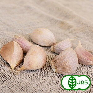 [L@͔|] ɂɂ (30g)@@I[KjbN L@ f jjN K[bN Y