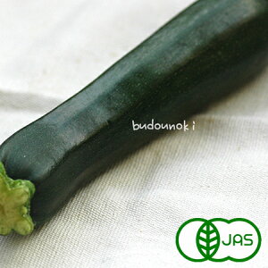 ズッキーニ その他の野菜 きのこの人気商品 通販 価格比較 価格 Com