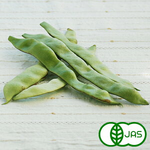 [L@͔|] bRCQ (100g)@@I[KjbN L@ 񂰂 Y