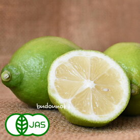 [有機栽培] レモン (10kg)　　有機栽培 有機 国産 オーガニック 生 れもん 檸檬 有機レモン スムージー/ジュース におすすめ