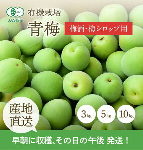 [�L�@�͔|]�F��_���̐~ (10kg)�@�@�@�L�@ �I�[�K�j�b�N ���� �E�� ����� �Y�� �Y�n���� ���ǂ� ���~ ������ �썂�~ ���_��