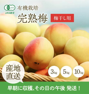 [�L�@�͔|] �F��_���̊��n�~ (3kg)�@�@�@�L�@ �I�[�K�j�b�N ���� �E�� ����� �Y�� �Y�n���� ���ǂ� ���~ ���n �~���p �썂�~ ���_��
