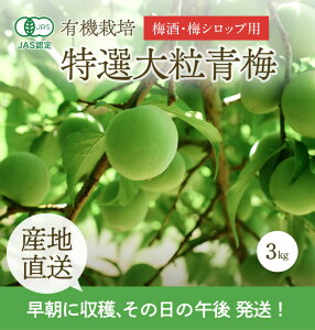 [�L�@�͔|]�F��_���̓��I �嗱�~ (3kg)�@�@�@�L�@ �I�[�K�j�b�N ���� �E�� ����� �Y�� �Y�n���� ���ǂ� ���~ �����p ���I�i ������ �썂�~