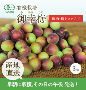 [�L�@�͔|] �F��_���̌�K�~ (3kg)�@�@�@�L�@ �I�[�K�j�b�N ���� �E�� ����� �Y�� �Y�n���� ���ǂ� ���~ ���_��