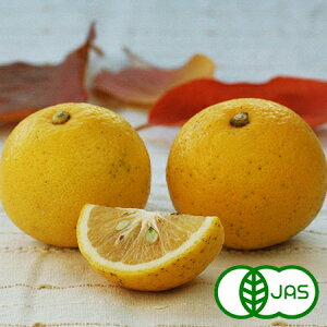 [L@͔|] ڂ (2)@@I[KjbN L@ Y J{X 啪Y BY {Y k