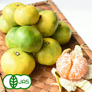 [L@͔|] B݂ (10kg)@@L@ I[KjbN ~J  BY F{Y Y {Y