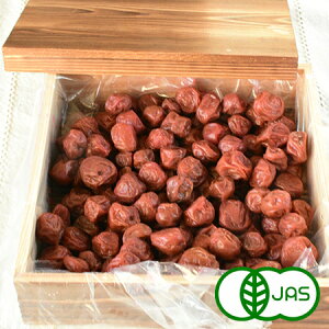 [L@JASF] F_̏~(480g)@L@ I[KjbN ߂ڂ E{V ~ Gi Ai Mtg 蕨 