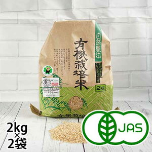 yߘa7NxYVāz[L@͔|] F{Y@˂ yɂ܂z (2kg)×2