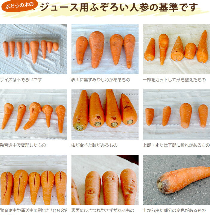 楽天市場 有機栽培 ジュース用ふぞろいにんじん 8kg おいしい人参のぶどうの木