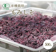 [有機栽培] 熊代農園のもみしそ (1kg)　　　有機 オーガニック 紫蘇 梅づくり 揉み紫蘇 モミシソ 赤しそ …