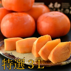 ypzʍ͔|@F_̓IxL` (Gi3LTCY11ʁ@3.5kg)@@Yn@iƓs@@JL@ޗǌY@g̊`