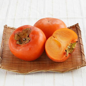 ʍ͔|@F_̕xL` (2)@@JL  ޗǌY g̊` Y {Y