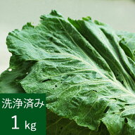 【クール便価格】[特別栽培] ケール生葉(洗浄済み) 　1kg　【直送商品のためケール生葉以外の商品と同時…