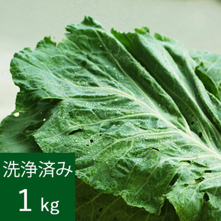 楽天市場 特別栽培 ケール生葉 洗浄済み 1kg 直送商品 同梱不可 おいしい人参のぶどうの木
