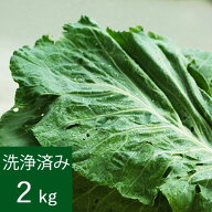 【クール便価格】[特別栽培] ケール生葉(洗浄済み) 　2kg　【直送商品のためケール生葉以外の商品と同時…