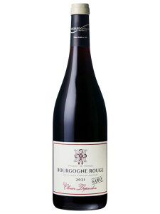 オリヴィエ デパルドン ブルゴーニュ ガメイ 赤ワイン フランス 2023 750 Bourgogne Gamay