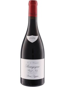 ���~ �X�K�� �u���S�[�j�� �s�m �m���[�� �ԃ��C�� �t�����X �u���S�[�j�� 2022 750 Bourgogne Pinot Noir �a���� �v���[���g �M�t�g �����j���ɂ�������