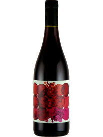 メーヌ ド ラ ガペット サンジュ 赤ワイン フランス ボージョレ 2021 750 Domaine de la Gapette Sain-Jus