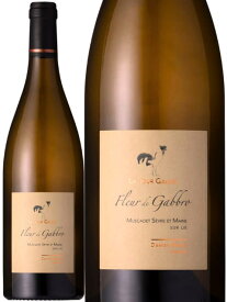 ドメーヌ ド ラ トゥール ガリュス ミュスカデ セーヴル エ メーヌ シュール リー フルール ド ガブロ 白ワイン フランス ロワール渓谷 2022 750 Muscadet Sevre et Maine sur lie "Fleur de Gabbro"