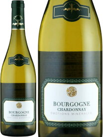 ラ シャブリジェンヌ ブルゴーニュ シャルドネ 2023 750ml 白ワイン 辛口 フランス ブルゴーニュ La Chablisienne La Chablisienne Bourgogne Chardonnay