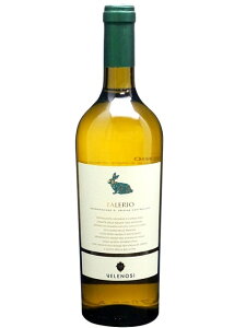 Fm[W t@[I C C^A }PB 2024 750 Velenosi Falerio