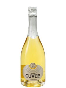 ���F���m�[�W �O���� �L�����F �X�p�[�N�����O���C�� �C�^���A �}���P 2021 750 Gran Cuvee Velenosi
