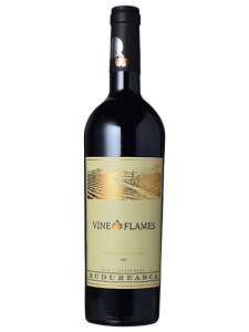 B uhDAXJ @C C tC Jxl \[Bj ԃC [}jA ejAn 2021 750 Viile Budureasca Vine in Flames Cabernet Sauvignon
