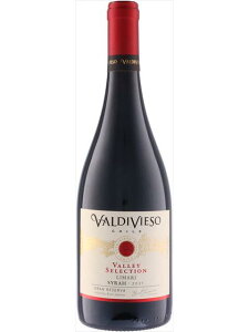ビーニャ バルディビエソ ヴァレー セレクション シラー 赤ワイン 2021 750ml Valley Selection Syrah