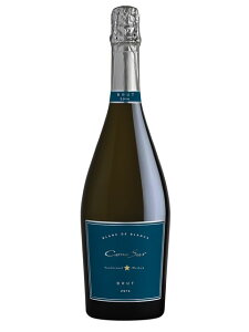 B[j RmX RmX u h u ubg Xp[NOC ` JTuJE@[ 2018 750 Cono Sur Blanc de Blancs Brut