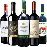 《送料無料》南米5ヶ国フルボディ赤ワイン5本セット 飲み比べワイン セット
