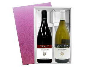 ����g���R���C���g��2�{�Z�b�g ���ϔ���