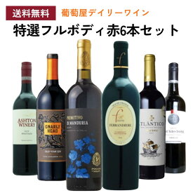 【スーパーセール10％OFF】《送料無料》『特選フルボディ赤6本セット』飲み比べ 葡萄屋デイリーワイン ワイン セット